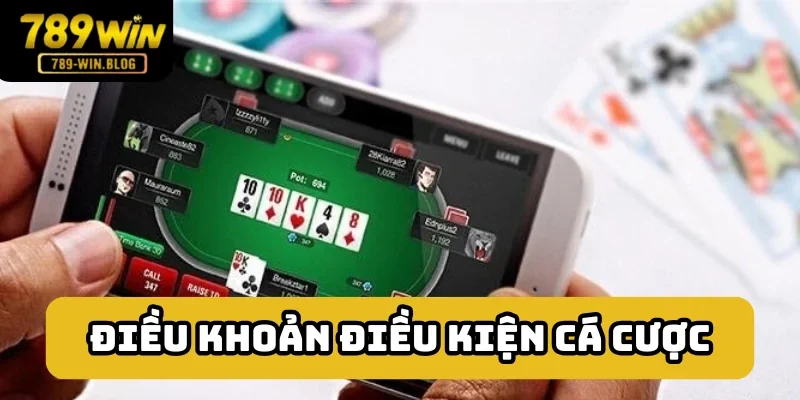 Những quy tắc khi thực hiện cá cược Những quy tắc khi thực hiện cá cược