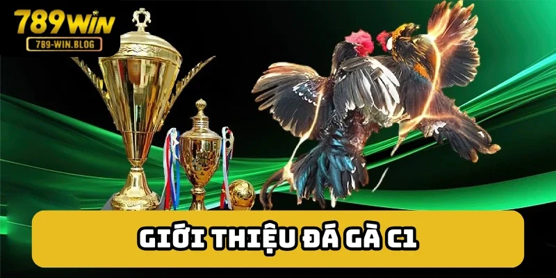 Sơ lược về giải kê chiến hàng đầu - đá gà C1 Sơ lược về giải kê chiến hàng đầu - đá gà C1