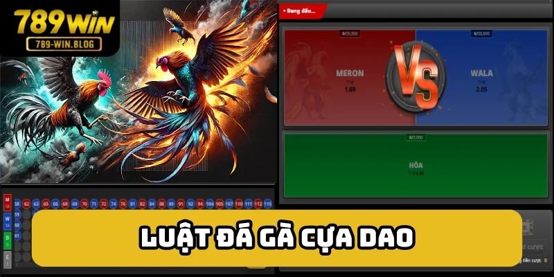 Quy tắc cần nắm của đá gà cựa dao Quy tắc cần nắm của đá gà cựa dao