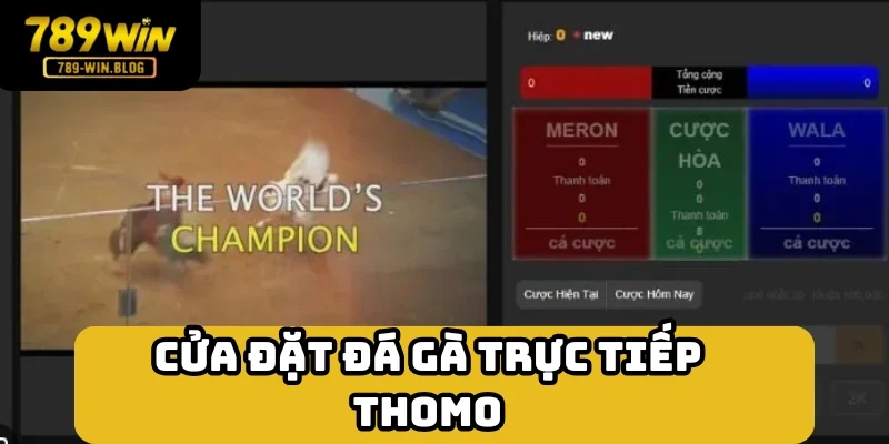 Vào tiền đơn giản với 3 cửa đặt Vào tiền đơn giản với 3 cửa đặt