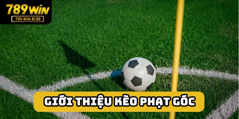 Kèo phạt góc là những dạng cược xoay quay thông số cùng tên Kèo phạt góc là những dạng cược xoay quay thông số cùng tên