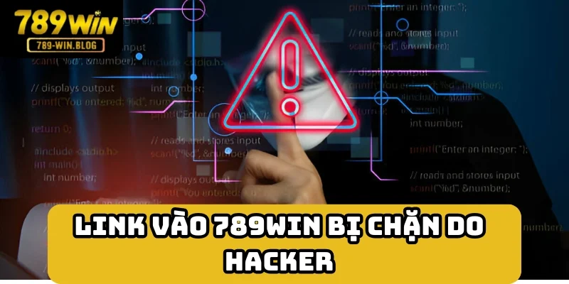 Hacker có thể khiến website không thể truy cập